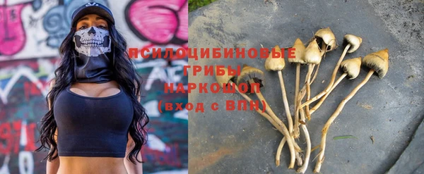молекула духа Алексин