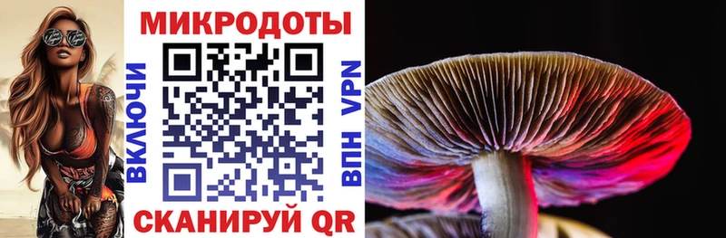 Псилоцибиновые грибы Magic Shrooms  Жигулёвск 